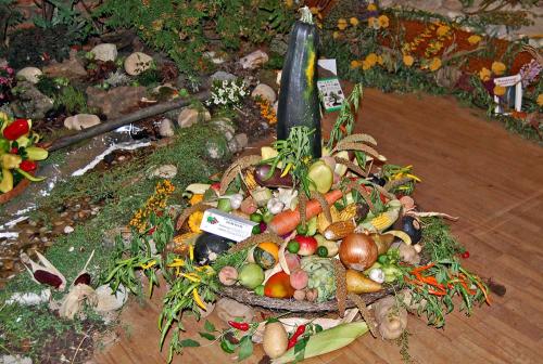 Výstava ovocia, zeleniny, kvetov, okrasných rastlín a bylín 2009