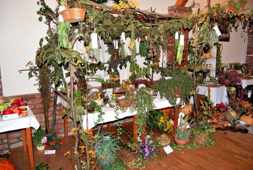 Výstava ovocia, zeleniny, kvetov, okrasných rastlín a bylín 2009