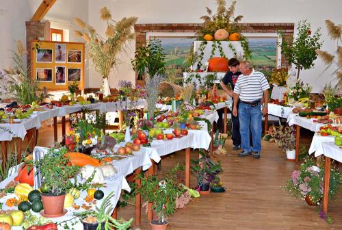 Výstava ovocia, zeleniny, kvetov, okrasných rastlín a bylín 2012