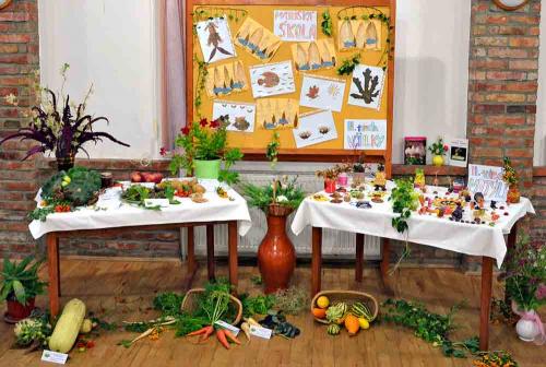 Výstava ovocia, zeleniny, kvetov, okrasných rastlín a bylín v r.2013