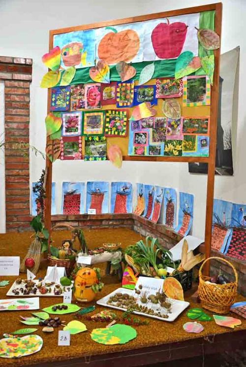 Výstava ovocia, zeleniny, kvetov, okrasných rastlín a bylín v r.2013