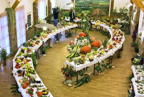 Výstava ovocia, zeleniny, kvetov, okrasných rastlín a bylín 2008