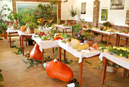 Výstava ovocia, zeleniny, kvetov, okrasných rastlín a bylín 2010