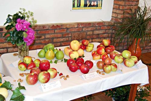 Výstava ovocia, zeleniny, kvetov, okrasných rastlín a bylín 2010