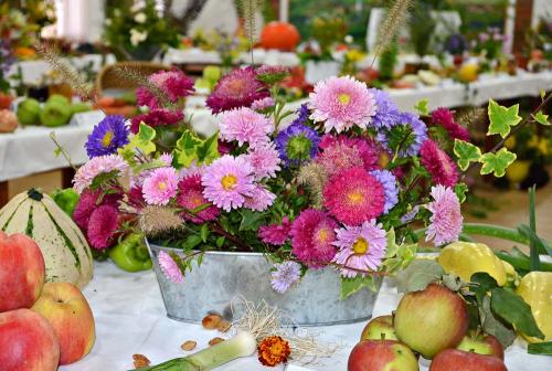 Výstava ovocia, zeleniny, kvetov, okrasných rastlín a bylín 2014