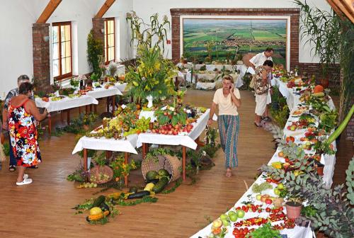 Výstava ovocia, zeleniny, kvetov, okrasných rastlín a bylín 2015