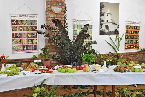 Výstava ovocia, zeleniny, kvetov, okrasných rastlín a bylín 2015